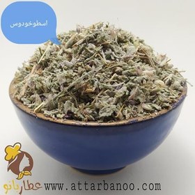 تصویر اسطوخودوس ایرانی 