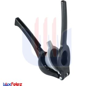 تصویر آب مرکبات گیر شنیا 