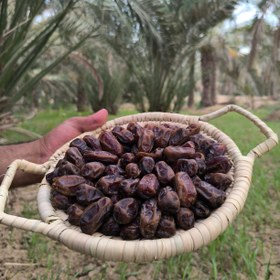 تصویر خرما عویدی خوزستان درجه یک پک 2 کیلویی 