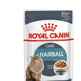 تصویر پوچ گربه هربال رویال کنین مدل گروی 85 گرم Royal Canin Adult Hairball Gravy 85g