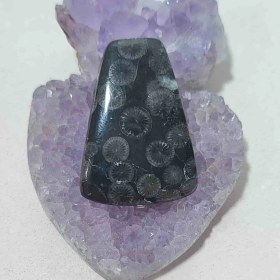 تصویر نگین مرجان فسیلی سیاه اصل کد 4 