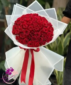 تصویر دسته گل رز قرمز بزرگ 