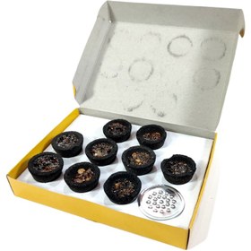 تصویر عود کاپ رایحه کندر 