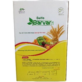 تصویر باکتری تیوباسیلوس یک کیلویی Thiobacillus Bacteria 1Kg Fertilizer