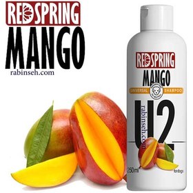 تصویر شامپو سگ رد اسپرینگ با عصاره ی انبه U2 Red Spring Dog Shampoo Dog With Mango Extract