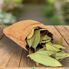 تصویر سنا مکی 10 گرمی 