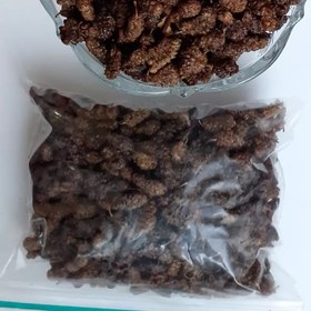 تصویر توت خشک شیرین 