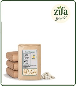 تصویر تخمه کدو خام فله 