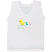 تصویر رکابی جوجه اردک کوکالو 