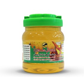 تصویر عسل طبیعی جنگل، خام 