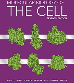 تصویر کتاب Molecular Biology of the Cell, 7th Edition دانلود pdf کتاب Molecular Biology of the Cell, 7th Edition