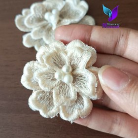 تصویر گل گیپور - 8سانت / نباتی 