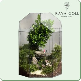 تصویر تراریوم بنسای ژاپونیکا طرح ساحل 