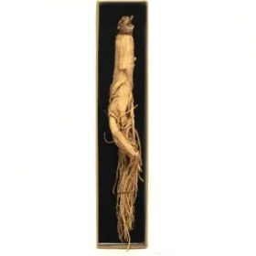 تصویر ﺟﯿﻨﺴﯿﻨﮓ ﺳﻔﯿﺪ 