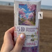 تصویر نقاشی الماسی بزرگسال 