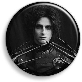 تصویر پیکسل ابیگل مدل Timothee Chalamet کد04 