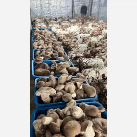 تصویر قارچ خشک شیتاکه 200 گرمی 