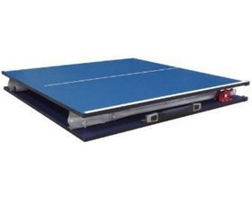 تصویر میز پینگ پنگ جاینت دراگون مینی 