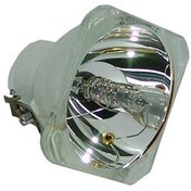 تصویر لامپ ویدئو پروژکتور Acer PD523 های کپی 