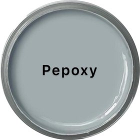 تصویر رنگ خمیری پوششی پپوکسی 25 گرمی طوسی 