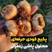 تصویر پکیج کود محلول پاشی زعفران (حرفه ای) 