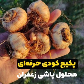 تصویر پکیج کود محلول پاشی زعفران (حرفه ای) 