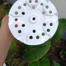 تصویر گلدون پلاستیکی پاچیرا سایز17 