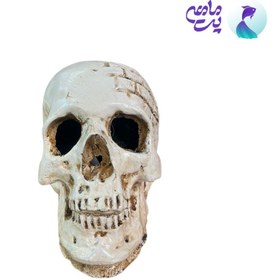 تصویر دکوری پلی استر اسکلت کد 178A 