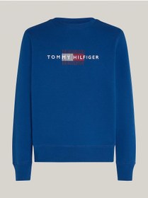 تصویر سویشرت مردانه برند تامی هیلفیگر Tommy Hilfiger اصل MW0MW35541 