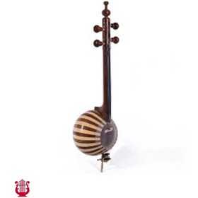 تصویر کمانچه خاتمی 