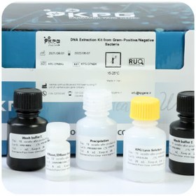 تصویر کیت استخراج DNA از باکتری گرم مثبت به روش مگنت 