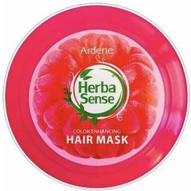 تصویر ماسک کراتینه و تثبیت کننده رنگ مو حاوی توت وحشی هرباسنس 250گرم آردن Ardene Herba Sense Color Enhancing Hair Mask 250g