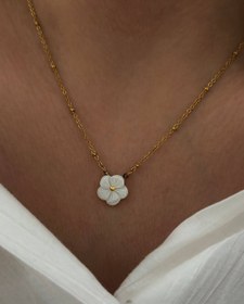 تصویر کالکشن : صدف طبیعی SEASHELL