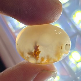 تصویر نگین عقیق شجر 