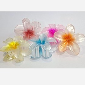 تصویر کلیبس پلومریا 