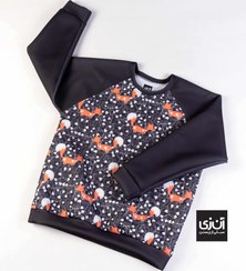 تصویر پلیور اسفنجی 