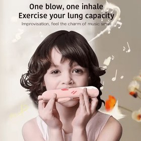 تصویر ساز دهنی کوسه 