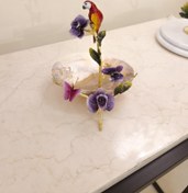 تصویر صدف طوطی برنجی | مدل 4 