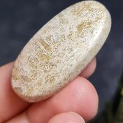 تصویر نگین سنگ طبیعی فسیل مرجان اصل معدنی کد 26617 