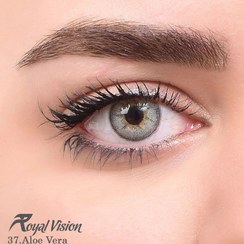 تصویر لنز رنگی رویال ویژن روزانه 100 ساعته، شماره 37 مدل Aloe Vera هاله دار سبز خاکستری روشن royal vision colored daily contact lens number 37 aloe vera