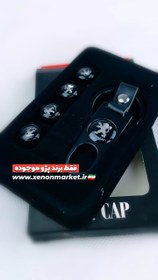 تصویر ست جاسویچی پژو و والف 