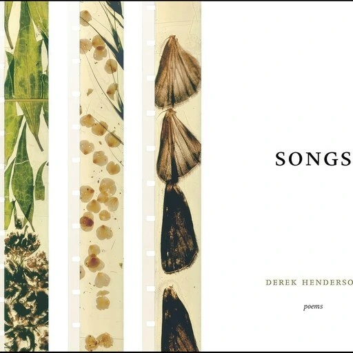 خرید و قیمت کتاب زبان اصلی Songs اثر Derek Henderson | ترب