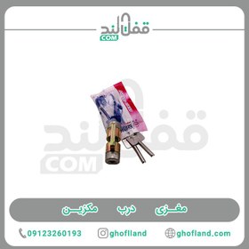 تصویر مغزی درب مکزین 