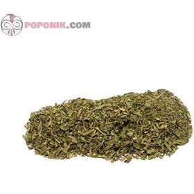 تصویر ریحان خشک 