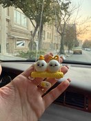 تصویر آویز ماشین ما/شبتاب 