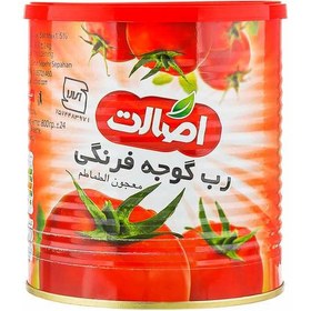 تصویر رب گوجه فرنگی اصالت 800 گرم 