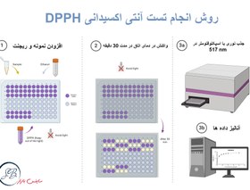 تصویر ارزیابی ظرفیت آنتی اکسیدانی به روش DPPH Assessment of antioxidant capacity by DPPH method