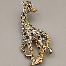 تصویر گل سینه زرافه 