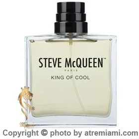 تصویر عطر ادکلن استیو مک کویین کینگ آف کول 100 میل Steve McQueen King Of Cool 100 ml