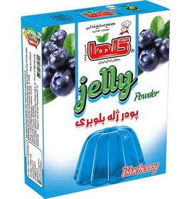تصویر پودر ژله بلوبری 100 گرم ا Blueberry Jelly Blueberry Jelly